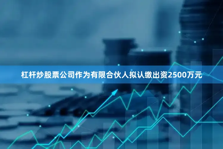 杠杆炒股票公司作为有限合伙人拟认缴出资2500万元