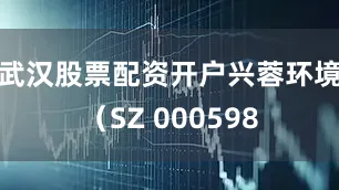 武汉股票配资开户兴蓉环境（SZ 000598