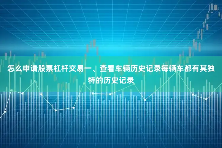 怎么申请股票杠杆交易一、查看车辆历史记录每辆车都有其独特的历史记录
